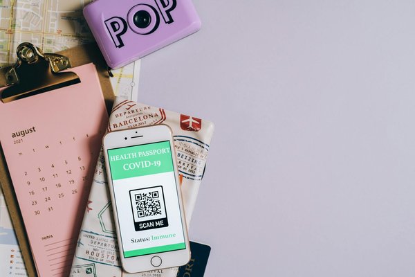 Quels sont les meilleurs spots pour observer les renards arctiques en Islande?